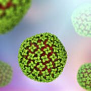 Airbnb cleaning in San Diego – spotless spaces